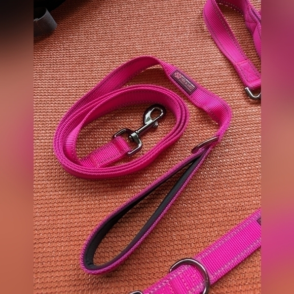 Max & Neo Dog Collar and Leash Set + Outward Hound Backpack - Picture 5 of 12